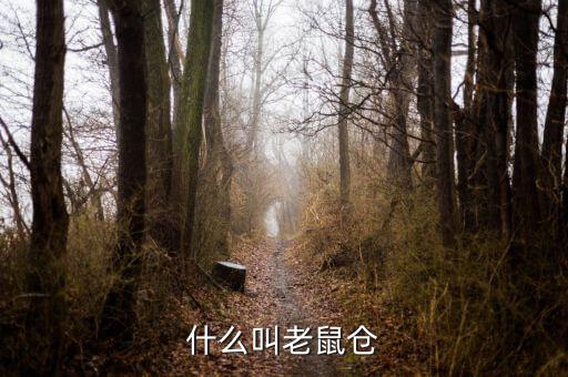 什么是老鼠倉(cāng)圖形，股票中什么是老鼠倉(cāng)呢簡(jiǎn)明即可