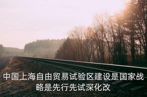 上海自貿(mào)區(qū)改革新60條是什么，建立上海自貿(mào)區(qū)屬于宏觀調(diào)控的哪個手段