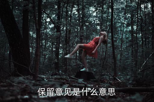 保留意見(jiàn)是什么意思