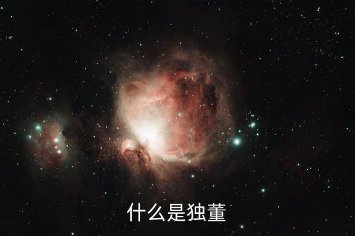 為什么董建華獨(dú)董，我國上市公司的獨(dú)立董事的來源主要有哪些
