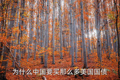 為什么要買美國國債，為什么要買那么多美國國債