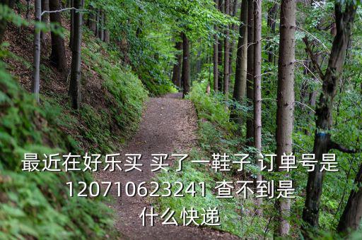 好樂買發(fā)什么快遞，我在好樂買用網(wǎng)銀付款買了雙鞋子請問他們都用什么快遞發(fā)貨
