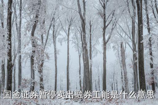 暫停融券是什么意思，國金證券暫停賣出融券工能是什么意思