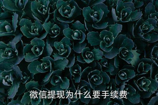 微信提現為什么要手續(xù)費