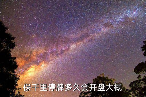 保千里什么時(shí)間上市，保千里什么時(shí)候復(fù)牌