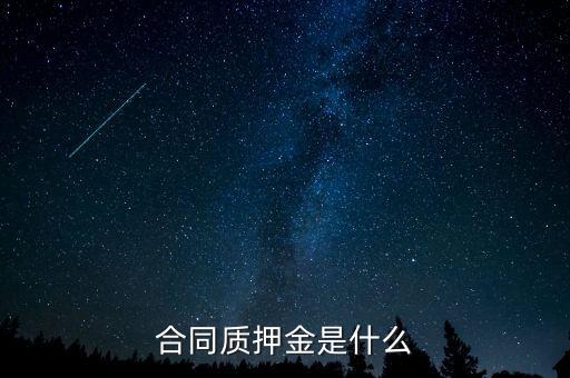 質押金是什么，期貨中的質押金是什么意思