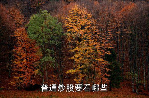 炒股每天都看什么，炒股究竟看什么怎么看