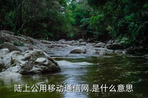 什么是公共碼頭運營商，什么是運營商
