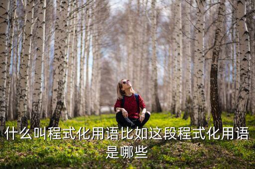 什么是程式化，幼兒園程式化活動是什么意思