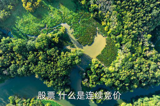 股票連續(xù)競價(jià)是什么意思，股票 什么是連續(xù)競價(jià)