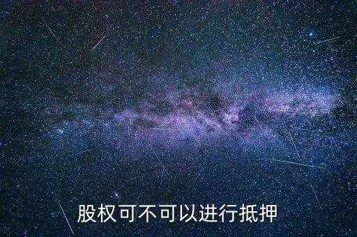 股權可不可以進行抵押