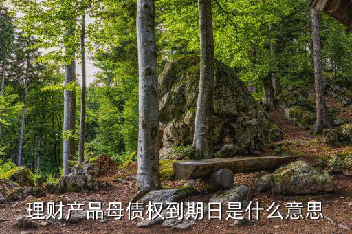 訂單債權(quán)到期什么意思，什么叫第三方到期債權(quán)