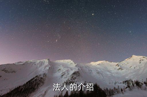 法人渠道是什么意思，法人的介紹