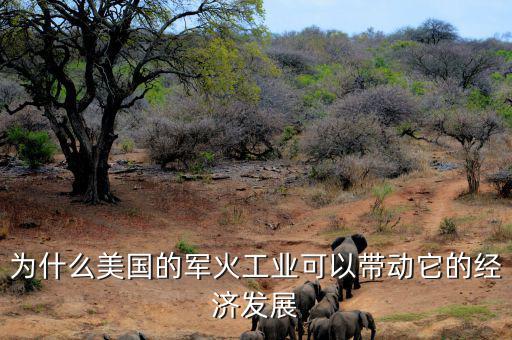 為什么美國的軍火工業(yè)可以帶動它的經(jīng)濟(jì)發(fā)展