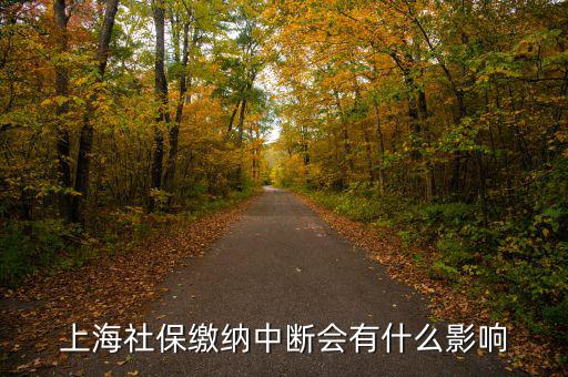 上海生育保險(xiǎn)中斷有什么影響，上海社保繳納中斷會(huì)有什么影響