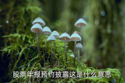 股票披露是什么意思，股票年報預約披露這是什么意思