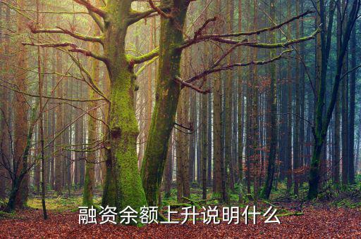 濰柴融資額度很高說明什么，融資余額上升說明什么