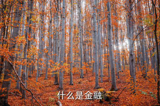 金融是什么，什么是金融