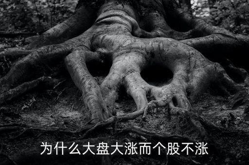 板塊都漲我的個(gè)股不長(zhǎng)什么原因，為什么大盤(pán)大漲而個(gè)股不漲