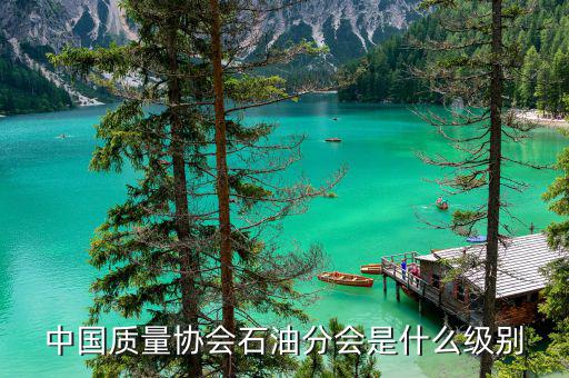 中質(zhì)協(xié)獎屬于什么級別，國藝杯屬于什么級別的獎項