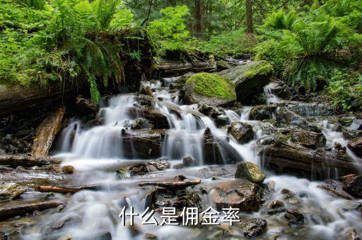 什么是傭金比率，什么是傭金率
