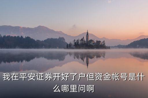 我在平安證券開好了戶但資金帳號(hào)是什么哪里問(wèn)啊