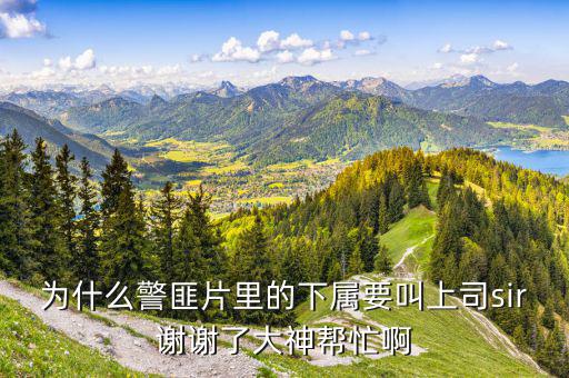 美國人下屬稱呼自己的上司為什么，當(dāng)下屬叫上司的小名或者昵稱的時候能說明什么他們之間沒情況