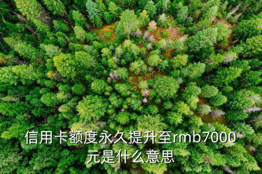 信用卡永久額度是什么意思，信用卡額度永久提升至rmb7000元是什么意思
