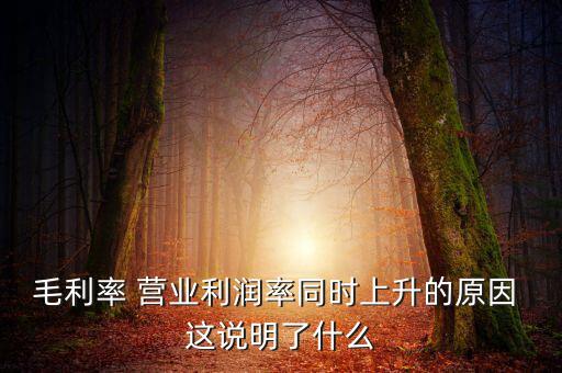 毛利率增長說明什么，增值稅毛利率的高低說明什么