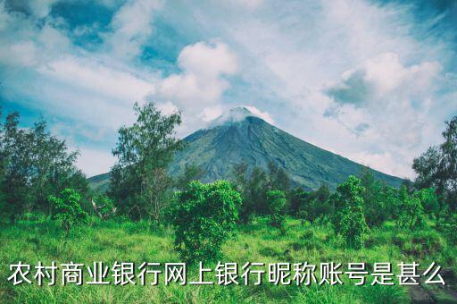 吳江農(nóng)村商業(yè)銀行用戶名是什么，銀行用戶名是什么