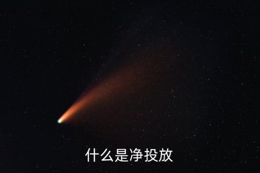 什么是凈投放，什么為凈投放