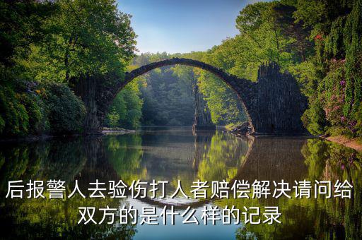 什么是賠償記錄，什么是無(wú)賠款優(yōu)待及上年賠款記錄系數(shù)
