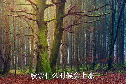 股票在什么情況下才會漲，股票什么時候會上漲