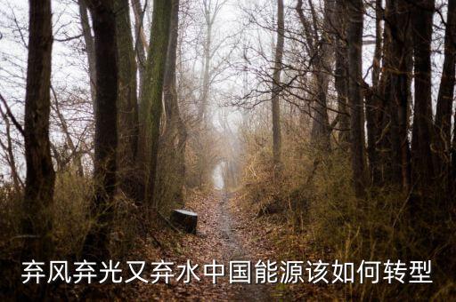 什么是能源轉(zhuǎn)型，棄風(fēng)棄光又棄水中國(guó)能源該如何轉(zhuǎn)型