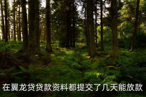 翼龍貸什么時候放項目，在翼龍貸貸款資料都提交了幾天能放款