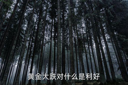 黃金跌對什么股票有利，黃金價(jià)格下跌對哪些股票是利好消息