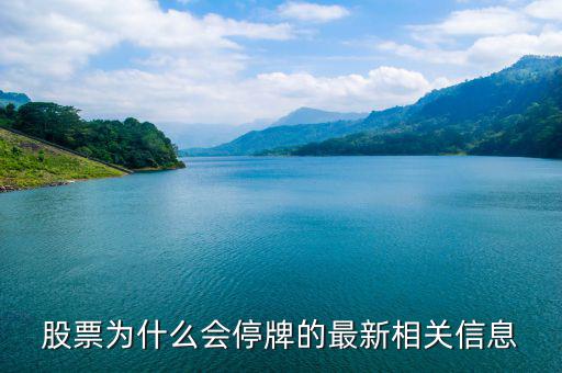 金盾股份為什么停牌，金盾股份停牌己一月再過(guò)半月后復(fù)牌行情會(huì)怎樣謝謝  搜