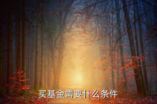 買基金有什么條件，買基金都需要什么條件啊