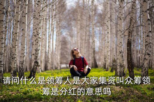什么是領(lǐng)投人，請問什么是領(lǐng)籌人是大家集資叫眾籌領(lǐng)籌是分紅的意思嗎