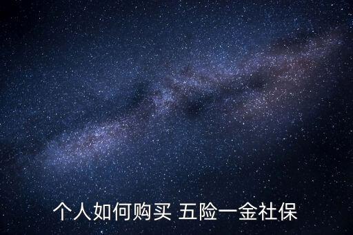 個(gè)人如何購(gòu)買(mǎi) 五險(xiǎn)一金社保