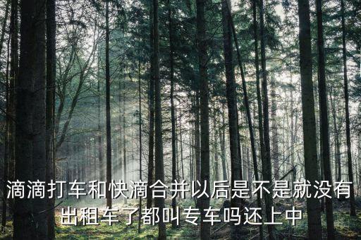 滴滴快滴合并叫什么，滴滴快的合并后叫什么