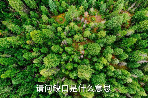 什么是失業(yè)缺口，什么是缺口什么是補上缺口請解答一下