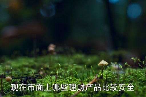 什么理財產品安全，做理財哪種安全些