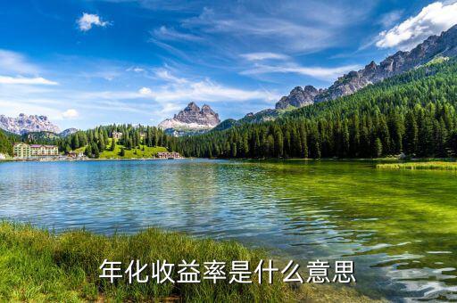 14日年化收益率是什么意思，年化收益率什么意思