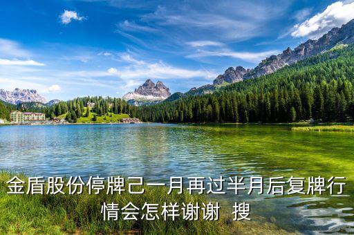 金盾股份停牌己一月再過(guò)半月后復(fù)牌行情會(huì)怎樣謝謝  搜
