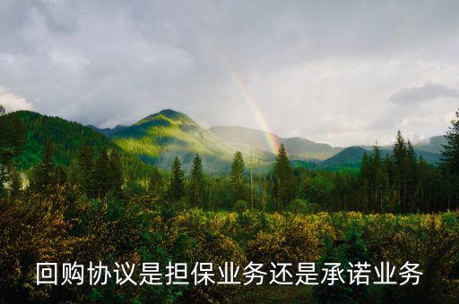 資產(chǎn)回購(gòu)協(xié)議屬什么合同，股權(quán)轉(zhuǎn)讓及回購(gòu)協(xié)議屬于借款合同嗎