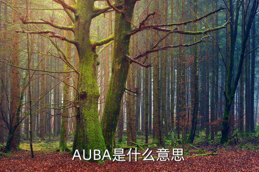 華夏現(xiàn)金增利貨幣a是什么，AUBA是什么意思