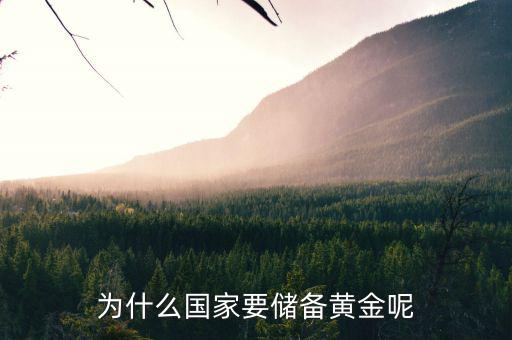 黃金為什么是儲備，國家為什么要儲備黃金不儲備鉑金鈀金這些也值錢啊為什么只