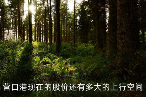 營(yíng)口港為什么漲停，營(yíng)口港股票怎么了