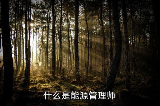 什么是能源沙，煤沙是什么是煤沒有燃燒之前篩選出來的還是燃燒過之后產(chǎn)生的